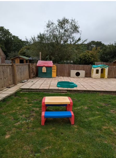 Chihuahua puppies for sale near me